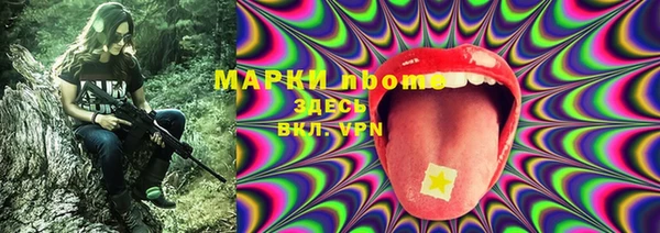 прущий лед Гатчина