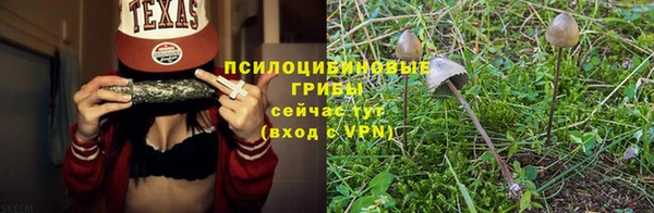 первитин Кукмор