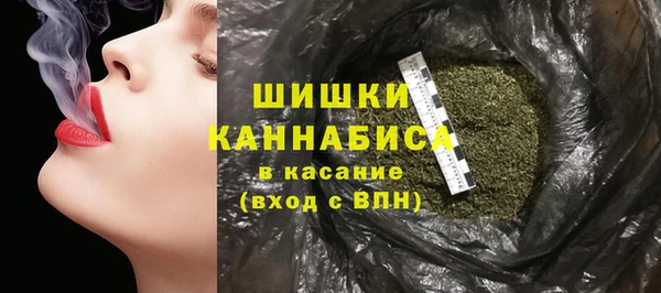 гидра Лагань