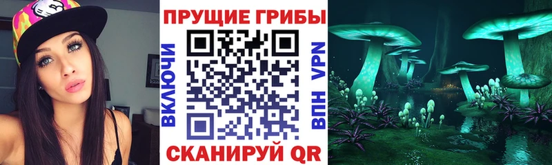 где купить наркотик Лагань Галлюциногенные грибы Magic Shrooms